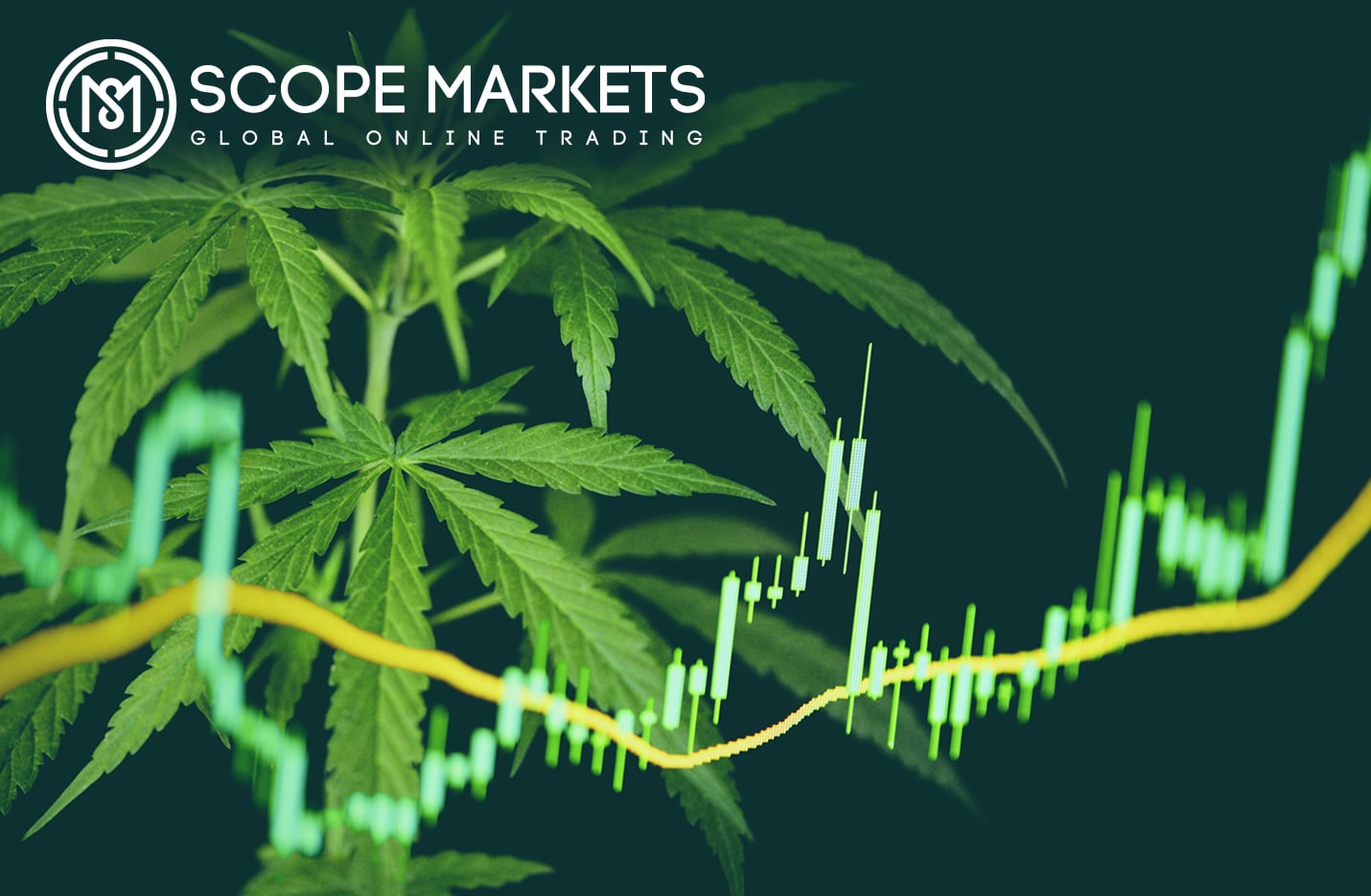 Scope Markets