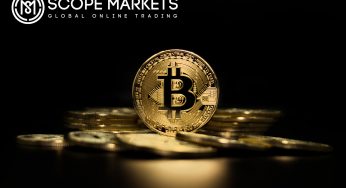Bitcoin Value of $40k & Upgrade Attracting Bullish Sentiment
