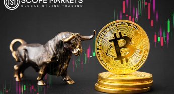 Has the Bitcoin Bull Run Taken A Hiatus in 2021?