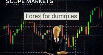 Forex for dummies -what are the basic things that you should know before starting to trade Forex in 2021